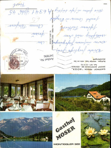 547896 trentino bolzano - 547896,trentino,