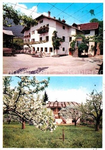 Appiano suedtirol ristorante - appiano,