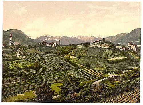 Foto appiano tirolo - appiano,