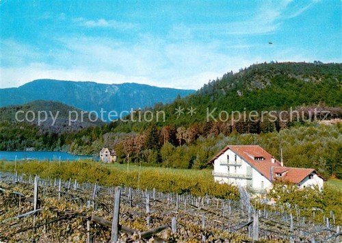 Appiano sudtirol albergo moser - albergo,